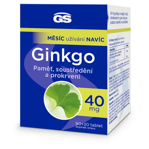 GS Ginkgo 40 mg 90 + 30 tabliet