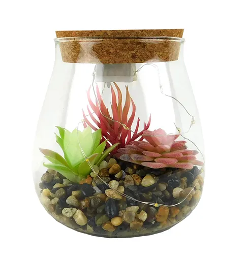 MAKRO - Sukulent v skle s LED, 8,5x13x12cm