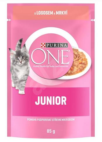 PURINA ONE cat Junior mini filetky s lososom a mrkvou v šťave kapsičky pre mačky 26x85g