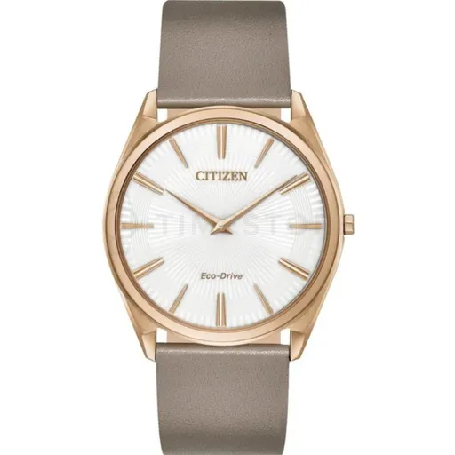 Citizen Eco-Drive AR3076-08A