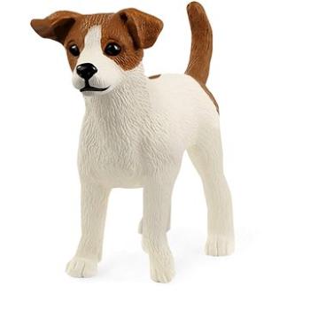 Schleich 13916 Zvieratko – teriér Jack Russell (4059433692142)