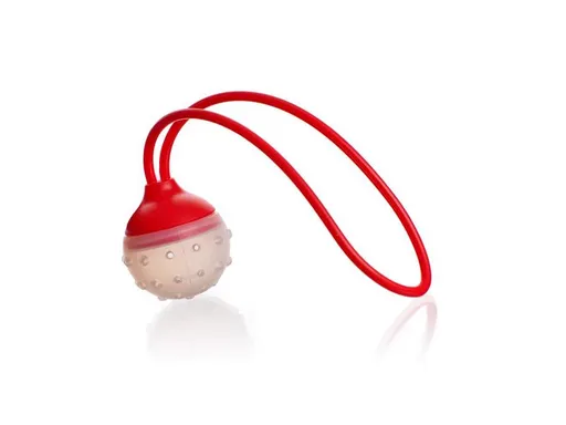 Sitko na čaj a korenie BANQUET Culinaria Red