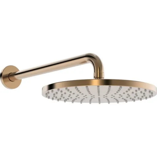 Hansa Viva hlavová sprcha na stenu vrátane sprchového ramená brúsený bronz 4426020081