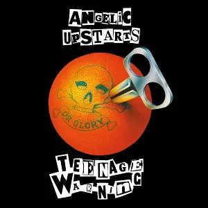 Angelic Upstarts: Teenage Warning LP