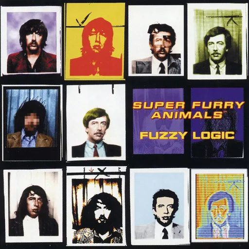 Super Furry Animals, FUZZY LOGIC (20TH ANNIVERS, CD