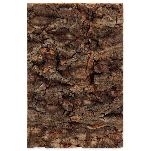 Repti planet Pozadí korek přírodní 19x12,3x2 cm