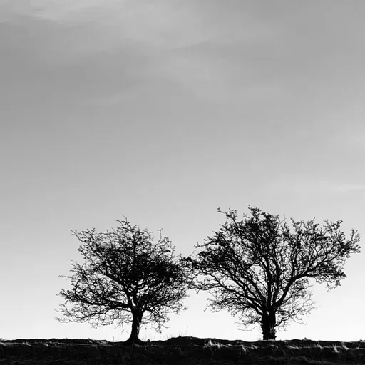 A heightened sense of everything - Jon Allen LP