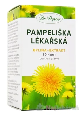 Dr.Popov Pampeliška bylina+extrakt 60 kapsúl