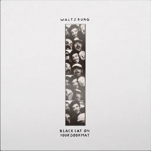 BLACK CAT ON YOUR DOORMAT