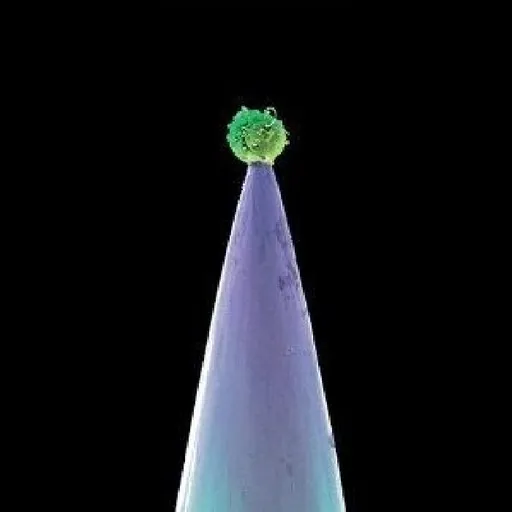 Peter Gabriel, Peter Gabriel New Blood (Limited Edition), CD