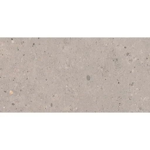 Dlažba Pastorelli Biophilic grey 30x60 cm mat P009500