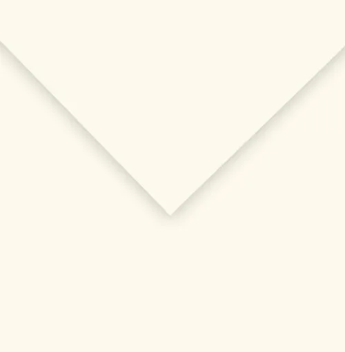 CANSON COLORLINE - Obojstranné farebné papiere 50 x 65 cm, 49 - pearl white, 10 ks