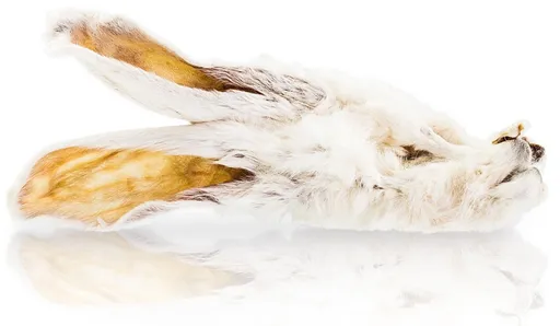 Maškrta pre psy KID DOG Králičie uši so srsťou 500g