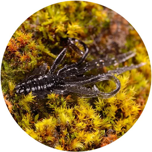 Redbass gumová nástraha nymfa dark black - xl 130 mm