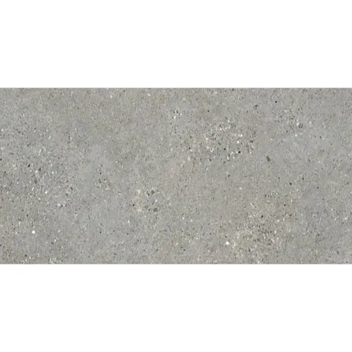 Dlažba Fineza Breccia sivá 60x120 cm mat BRECCIA612GR