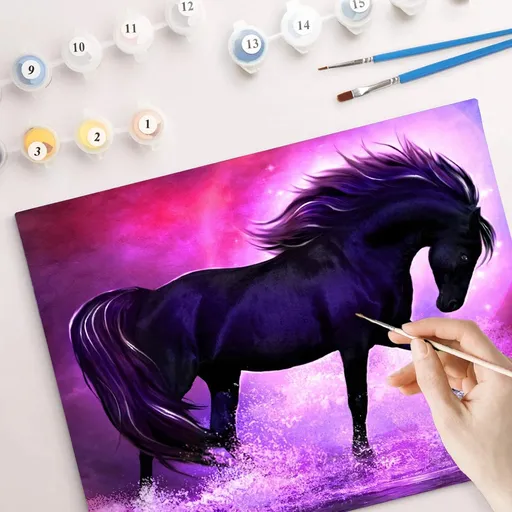 Weltbild Malování podle čísel Černý kůň