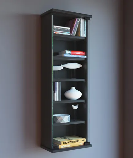 VCM Nástěnná vitrína Loposa na 150 CD, černý