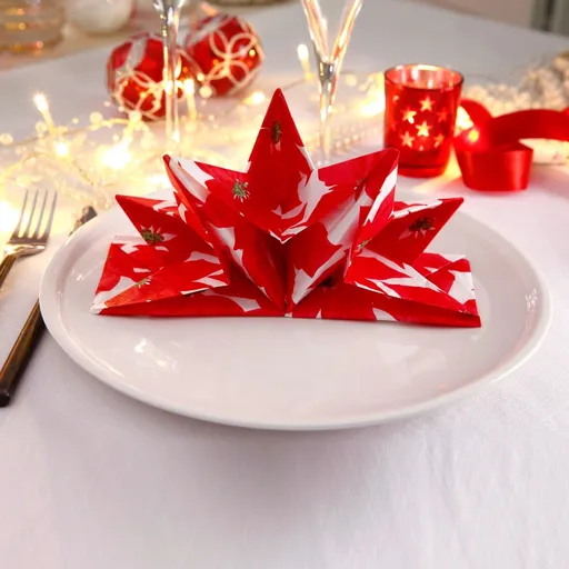 Súprava 12 vopred zložených obrúskov s potlačou