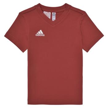 adidas  ENT22 TEE Y  Tričká s krátkym rukávom Červená