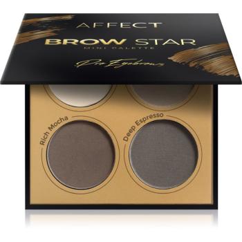 Affect Brow Star paletka púdrových tieňov na obočie 4x2 g