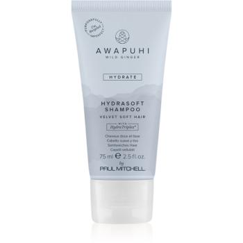 Paul Mitchell Awapuhi Wild Ginger HydraSoft Shampoo hydratačný šampón 75 ml
