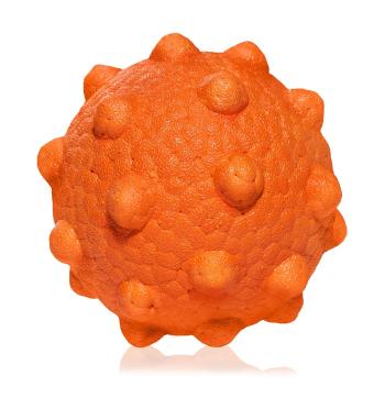 EXPLORER DOG AirBall pre psy Hroty 8cm