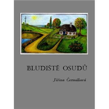 Bludiště osudů (978-80-877-4974-6)