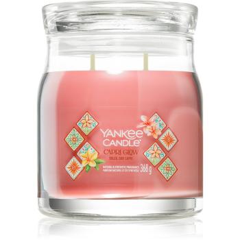 Yankee Candle Capri Glow vonná sviečka 368 g