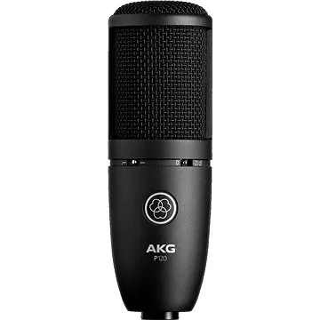 AKG Perception 120 (AKG P120)