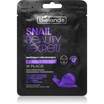 Bielenda Snail Beauty Secrets hydratačná plátienková maska pre suchú a podráždenú pleť 1 ks