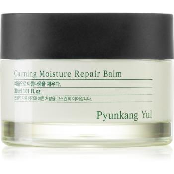 Pyunkang Yul Calming Moisture Repair Balm regeneráló hidratáló balzsam az érzékeny arcbőrre 30 ml