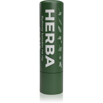 Herbadent Forte balzam na pery z bylín Herbal 5 ml