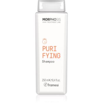 Framesi Morphosis Purifying čistiaci šampón proti lupinám 250 ml