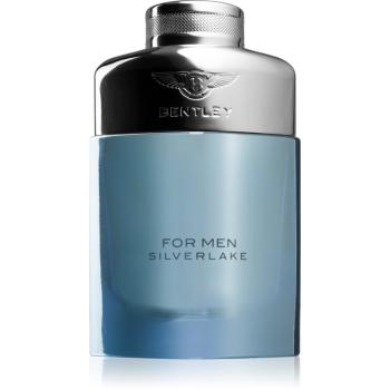 Bentley For Men Silverlake parfumovaná voda pre mužov 100 ml