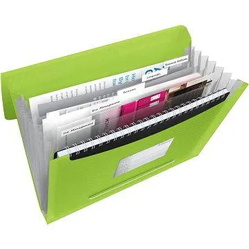 ESSELTE VIVIDA A4 s priehradkami, zelené (624019)