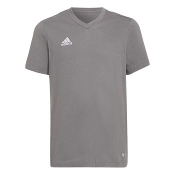 adidas  HC0444  Tričká s krátkym rukávom Šedá