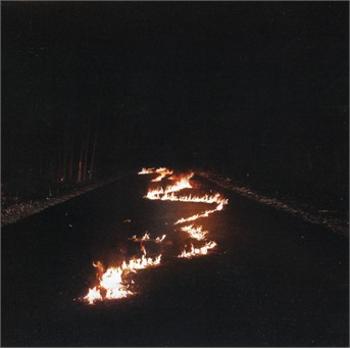 BOB MOSES - BATTLE LINES, CD