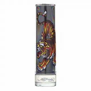 Christian Audigier Ed Hardy For Men toaletná voda pre mužov 100 ml