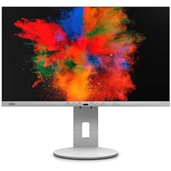 24 Fujitsu P2410 WE (S26361-K1698-V140)