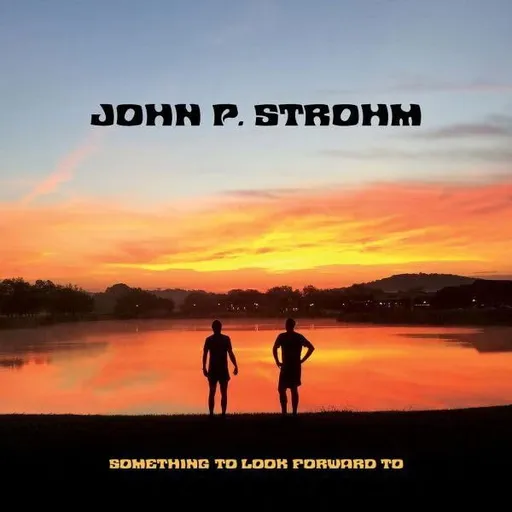 STROHM, JOHN P. - SOMETHING TO LOOK FORWARD TO LP