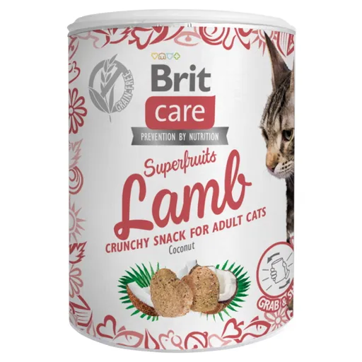 BRIT Care Snack Superfruits Lamb jahňacie s kokosom pre mačky 100 g