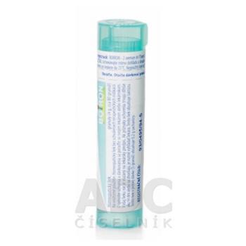 BOIRON Nux vomica CH200 4 g