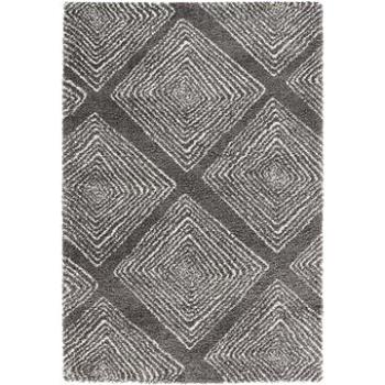 Kusový koberec Allure 102763 grau creme 200 × 290 cm (255881-49198)