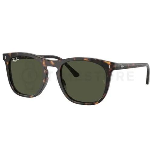 Ray-Ban RB2210 902/31 53