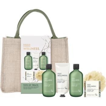 Baylis & Harding Wellness. Energise ajándékszett kozmetikai táska Ginger, Lime & Basil Leaf
