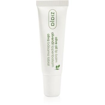 Ziaja Olive Oil vyživujúci balzam na pery s výťažkom z olív 10 ml
