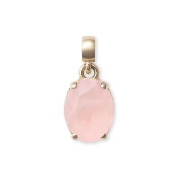 Daniel Wellington Pôvabný pozlátený prívesok s ruženínom Charms DW00401459