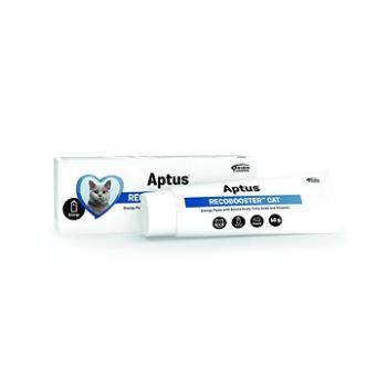 Aptus Reconvalescent Cat - Pasta, 60 g (6432100013170)