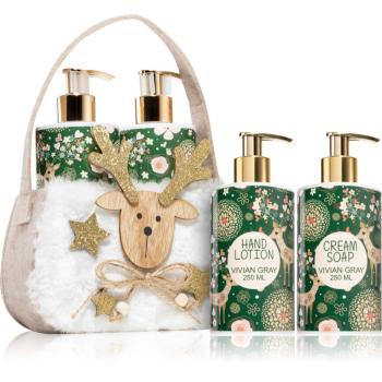 Vivian Gray Natural Christmas Green Tea & Citrus darčeková sada na ruky