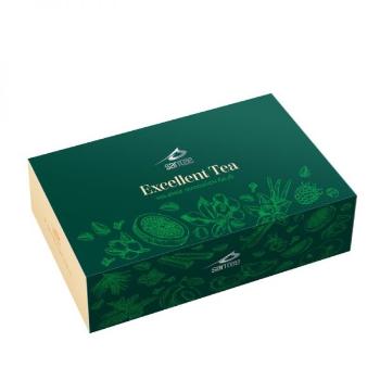 LIEČIVÉ RASTLINY SANTÉE EXCELLENT Tea 6 x 10 ks